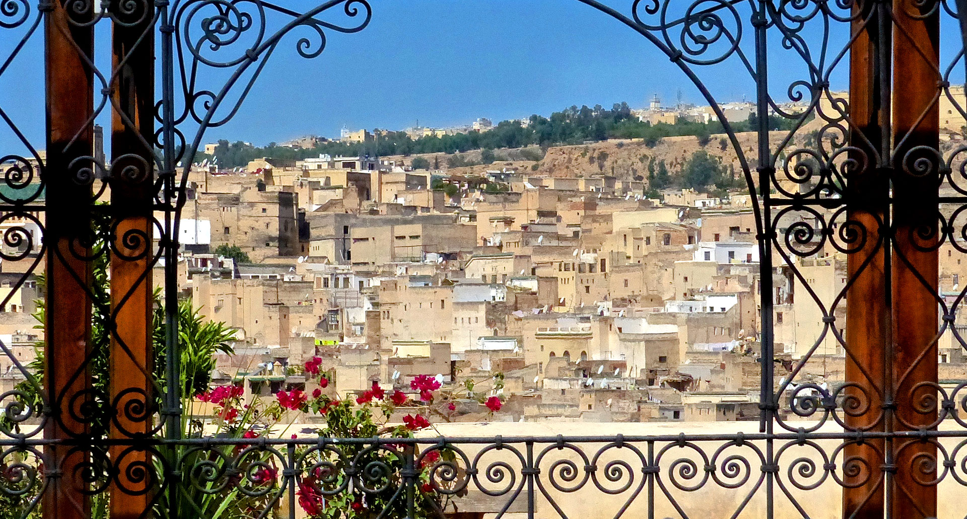 Fez