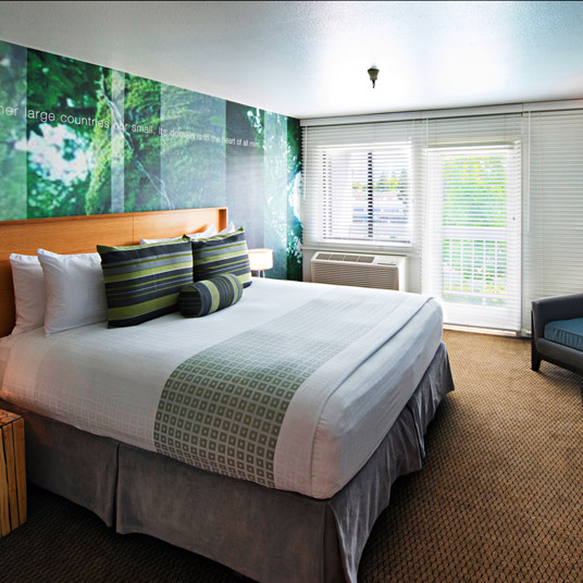 The Domain Hotel