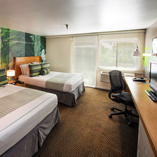 The Domain Hotel