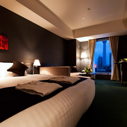 浅草雷门大门酒店(The Gate Hotel Kaminarimon Asakusa)