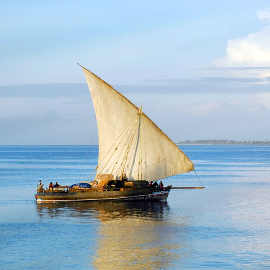 Zanzibar Serena Inn