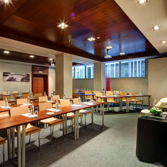 Olivia Plaza Hotel