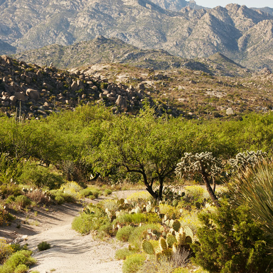 Miraval Resort & Spa