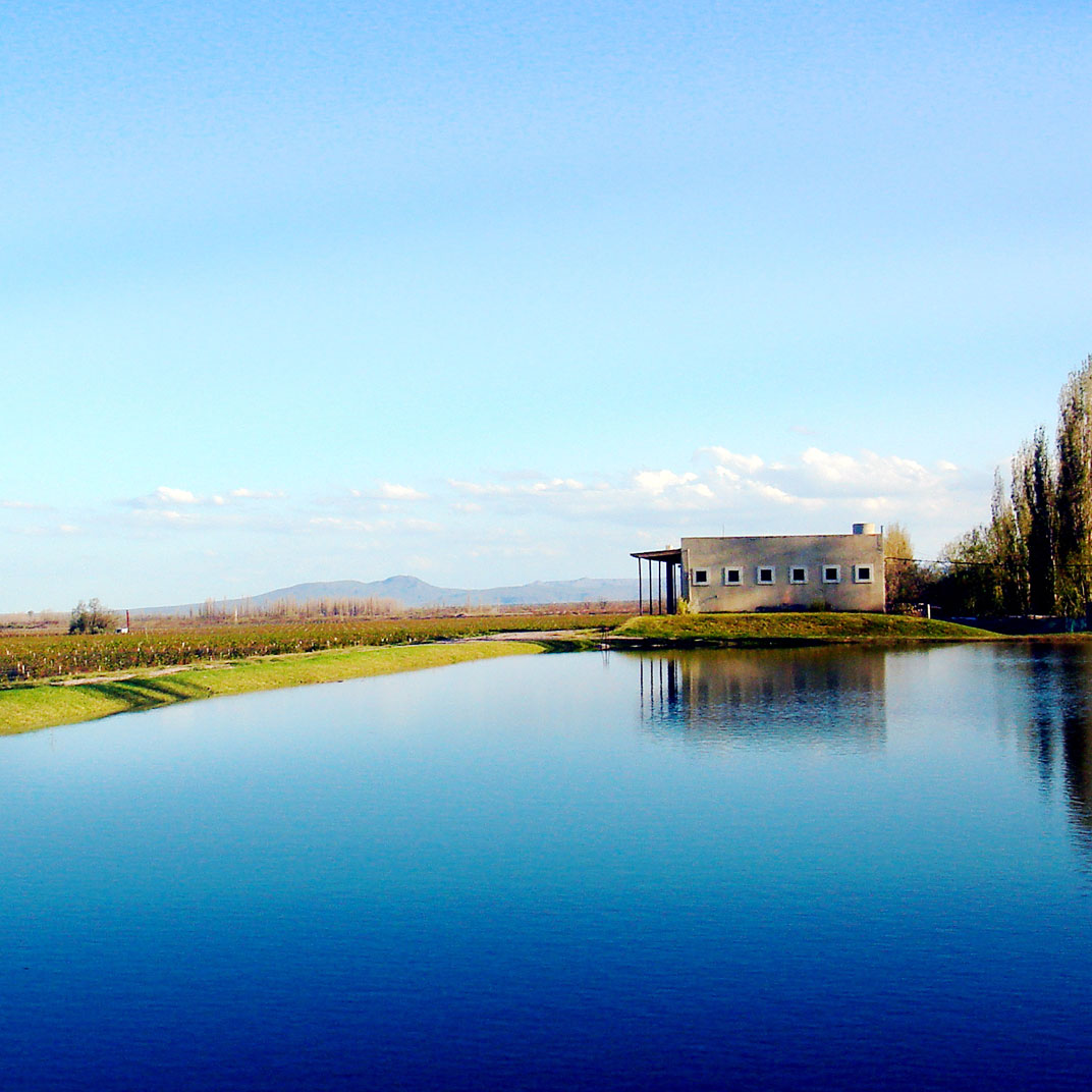 Algodon Wine Estates