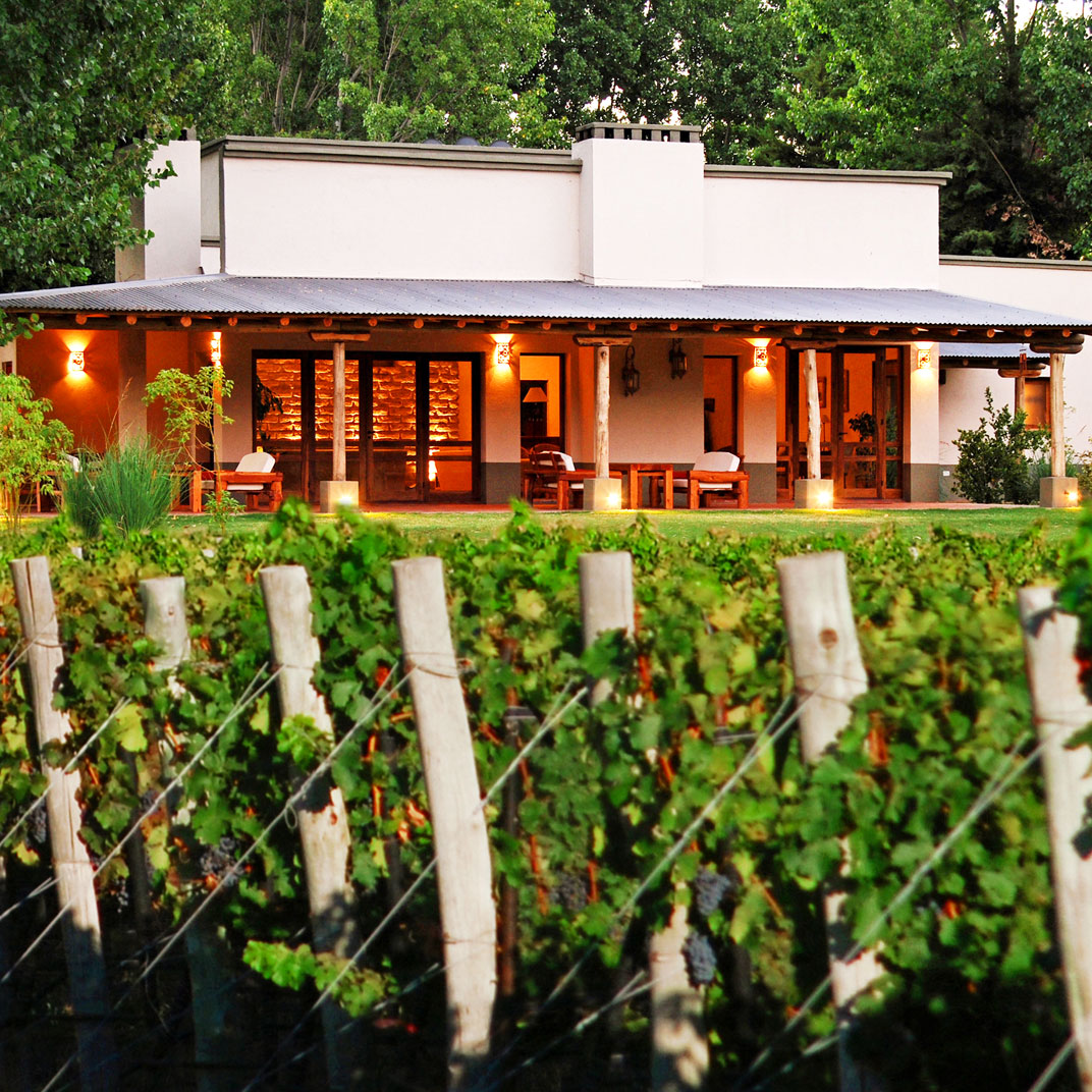 Algodon Wine Estates