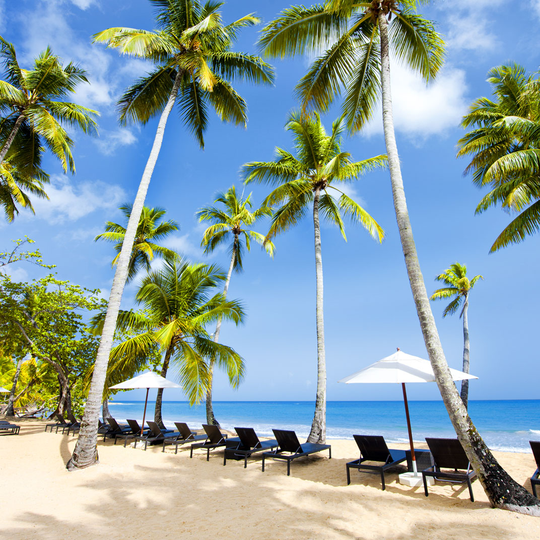 Sublime Samana