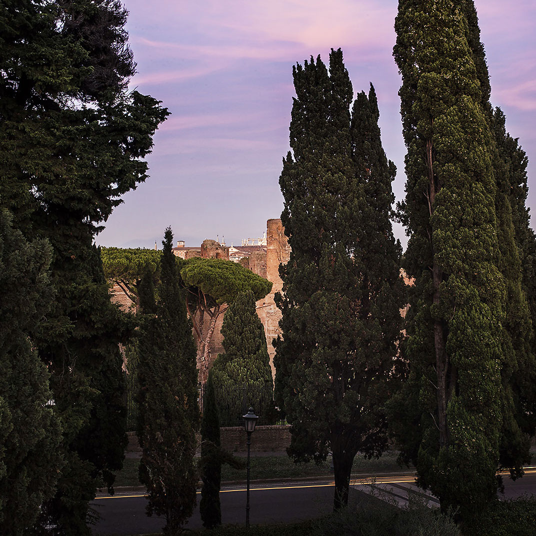 Pepoli 9