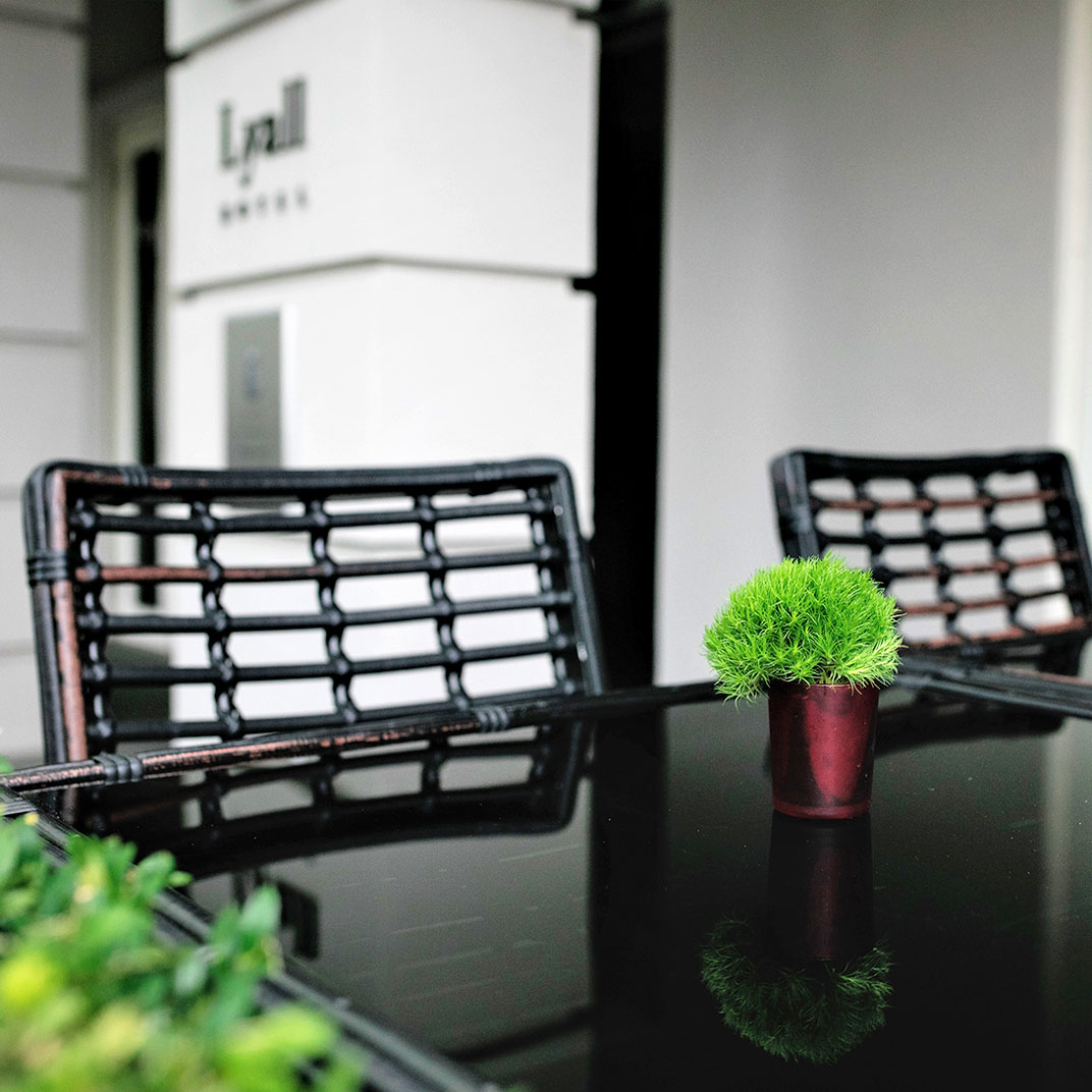 Lyall Hotel and Spa