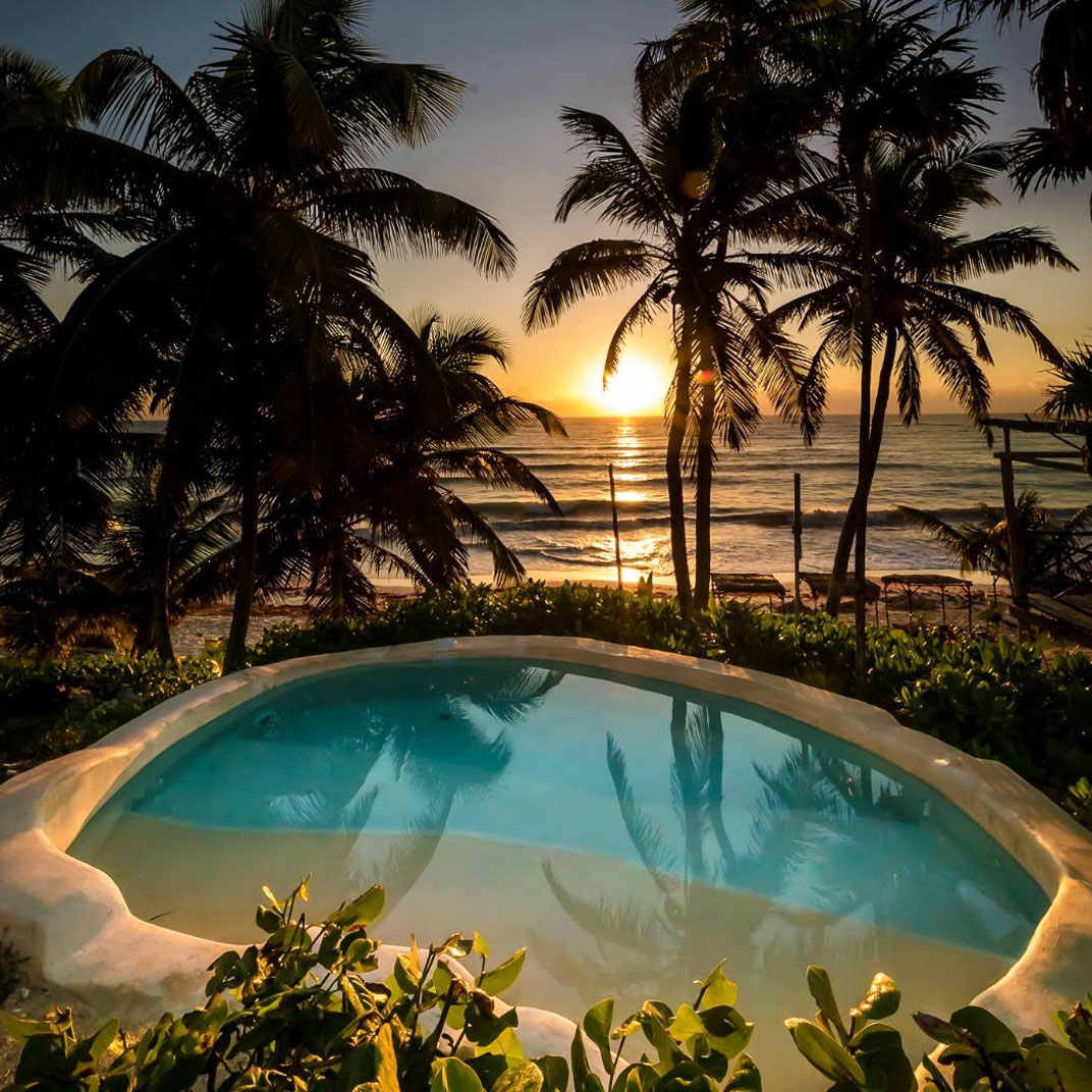 Papaya Playa Project