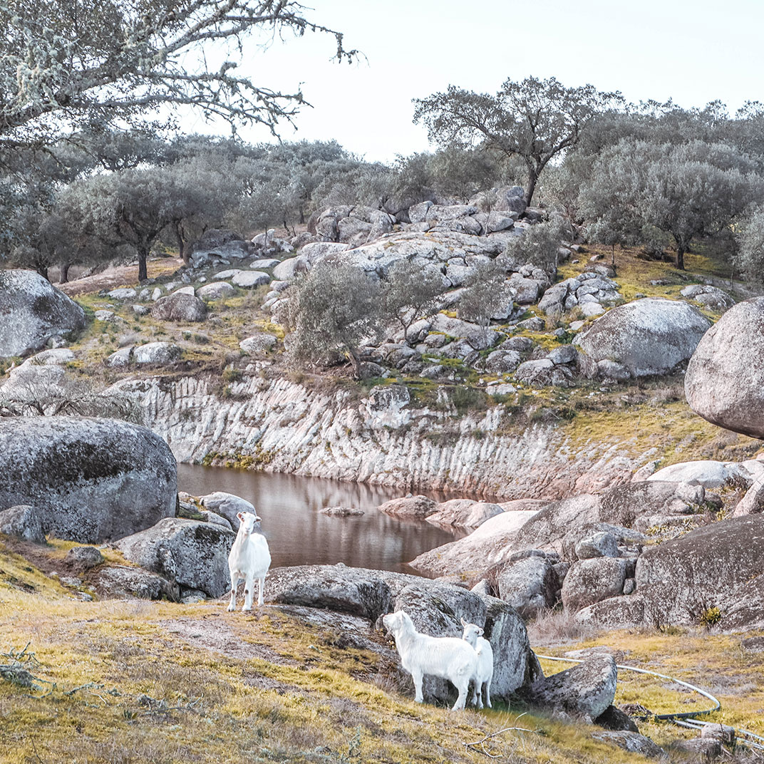 Herdade da Rocha - Boutique Lodge