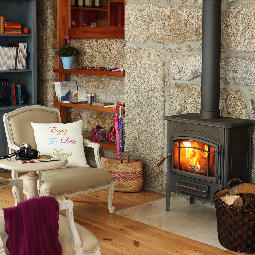 Solar Egas Moniz Charming House