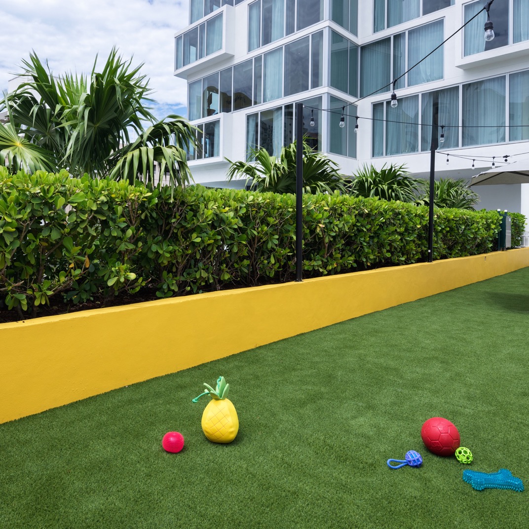 Hyatt Centric South Beach Miami