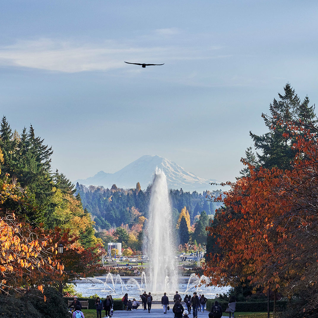 Graduate Seattle